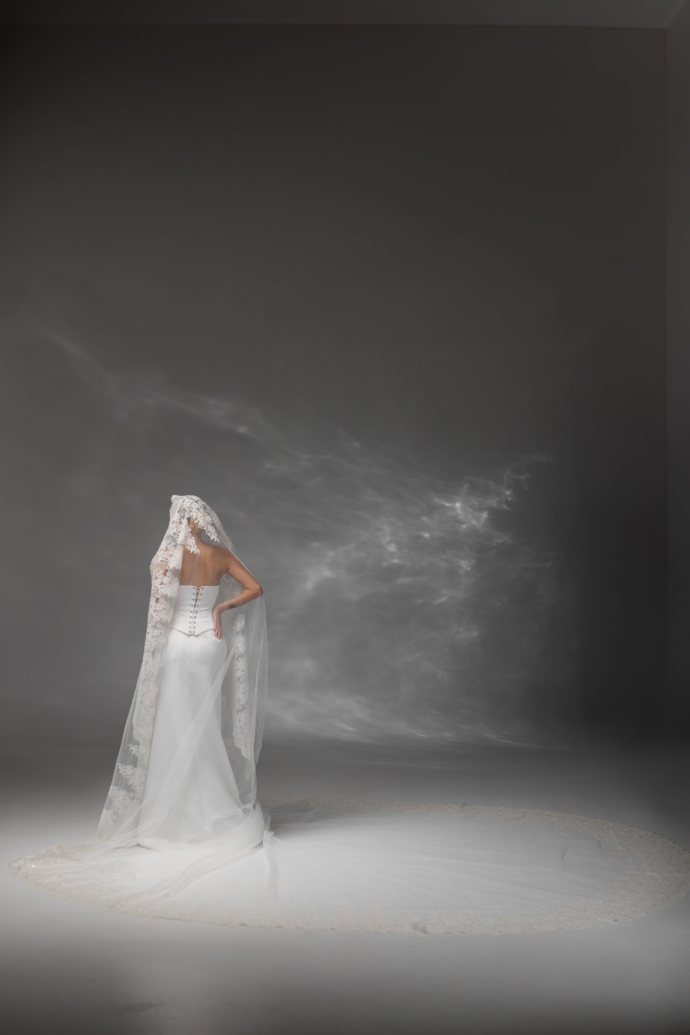 Grand Royal Cathedral Bridal Veil with Embroidered Lace