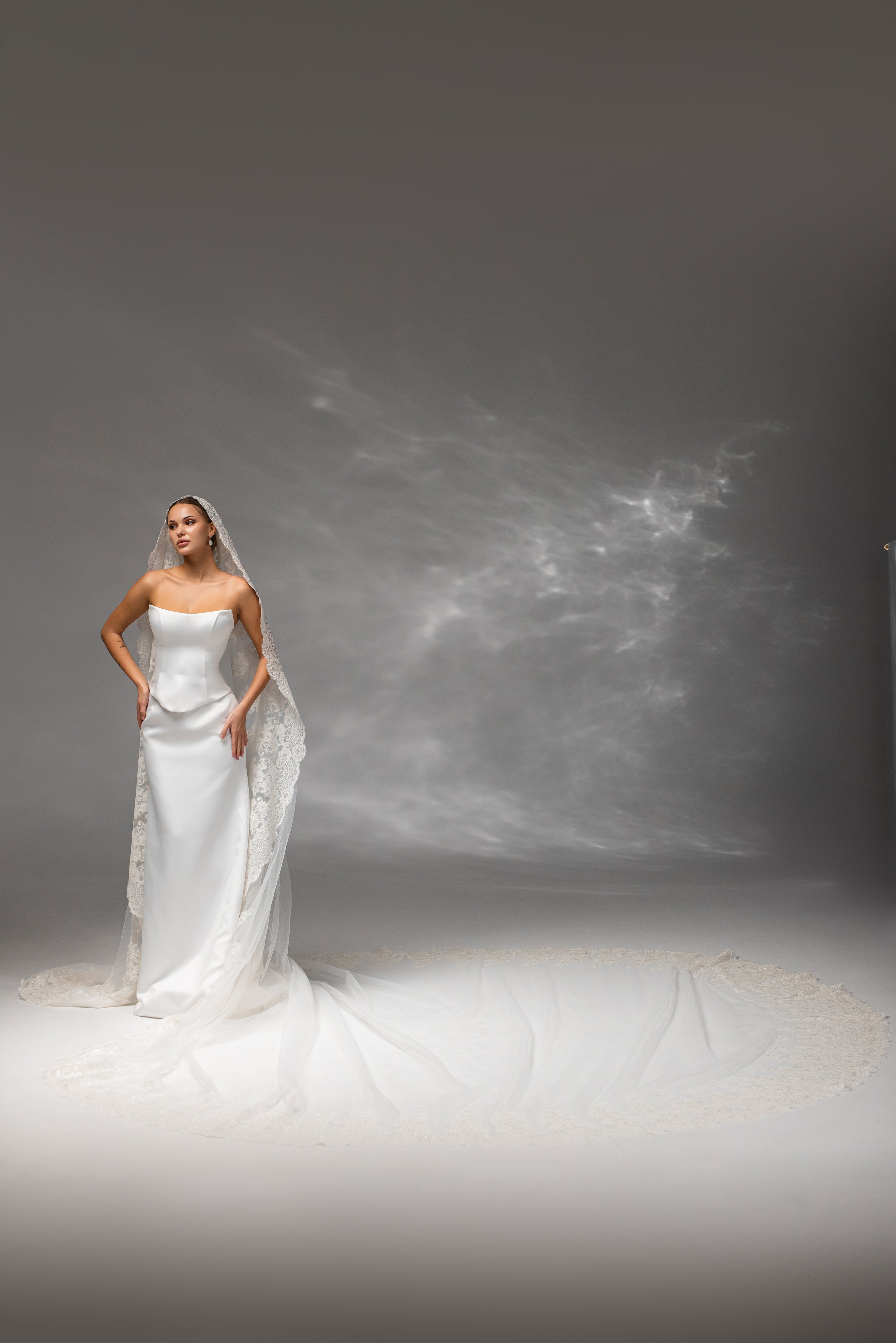 Grand Royal Cathedral Bridal Veil with Embroidered Lace