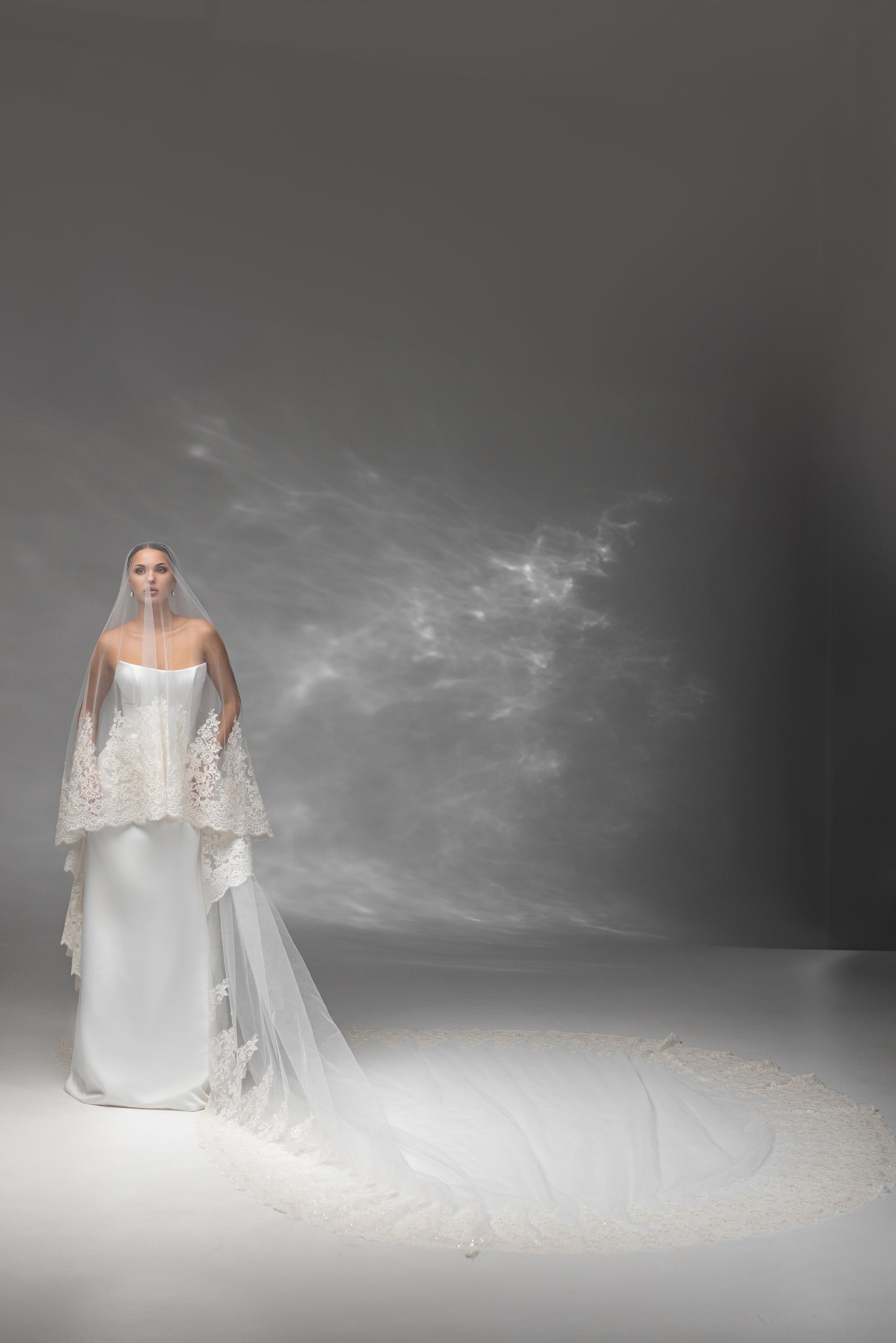 Soft Floor-Length Bridal Veil with Embroidered Lace