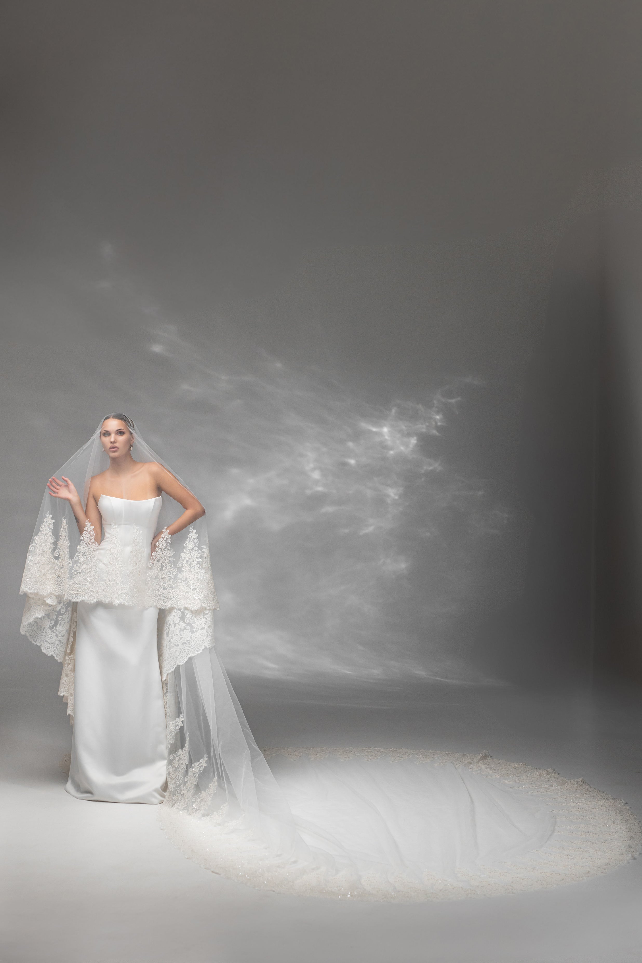 Soft Floor-Length Bridal Veil with Embroidered Lace