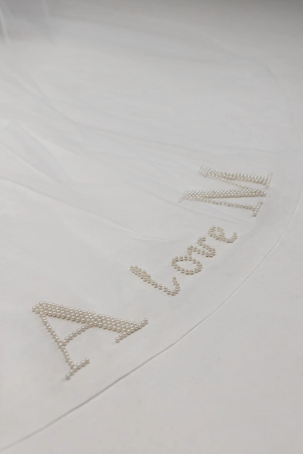 Personalized Ivory Chapel-Length Bridal Veil with Hand Embroidery