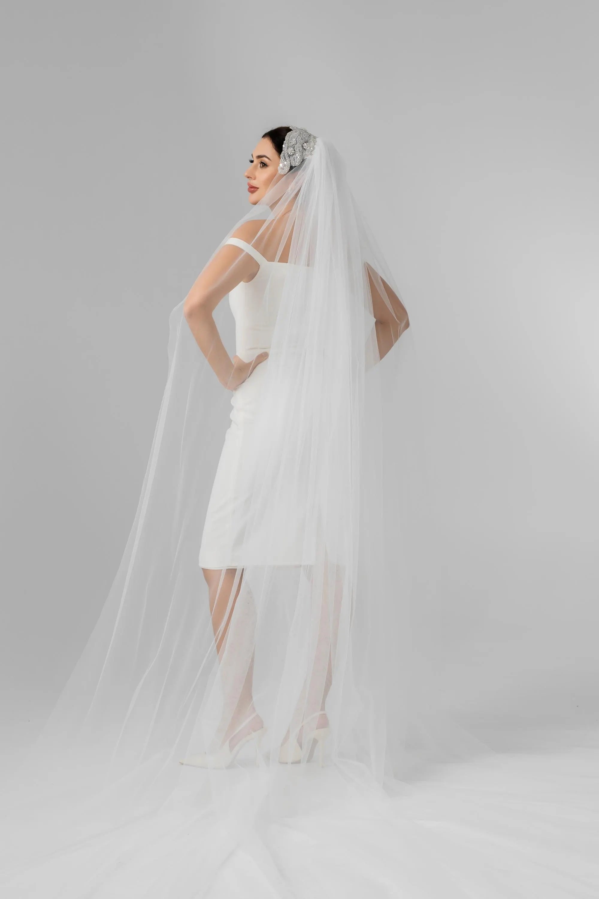 Ivory Cathedral Bridal Veil