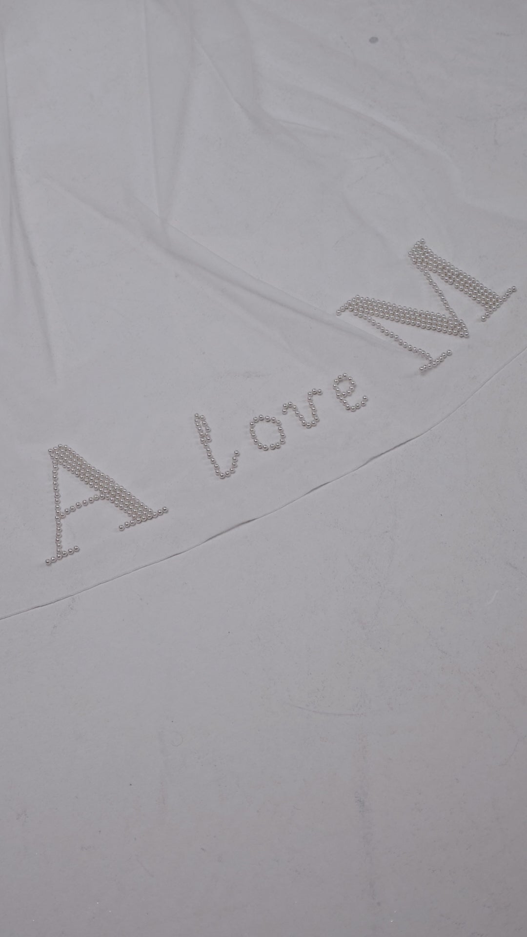 Personalized Ivory Chapel-Length Bridal Veil with Hand Embroidery